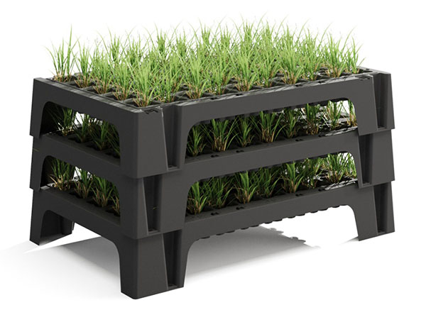 Agrita vasi e vassoi antispiralizzazione Air-prunning tecnologies Roothus 