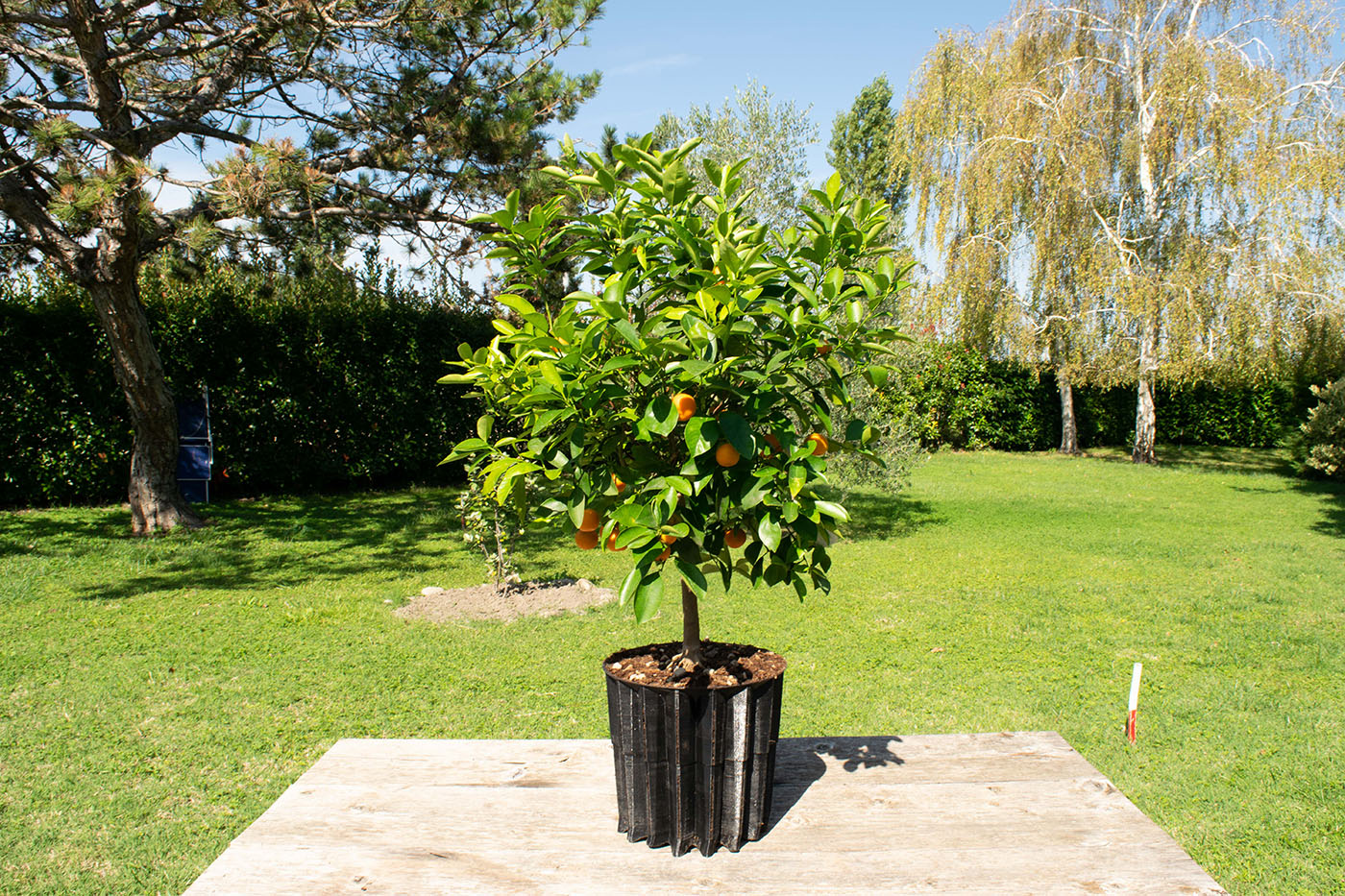 Vasi Antispiralizzazione Air-Pot System 